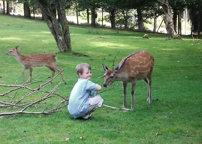 Apartament Ferienwohnung-kylltal-blick *